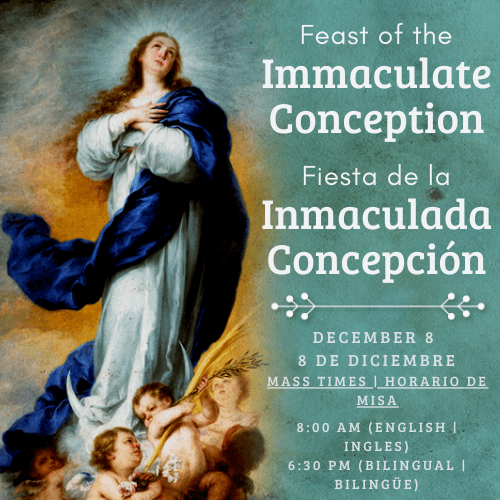 Immaculate Conception of the Blessed Virgin Mary 